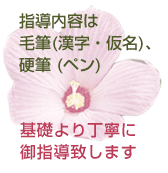 �w�����e�͖ѕM�i�����E�����j�A�d�M�i�y���j��b��蒚�J�Ɍ�w���v���܂�